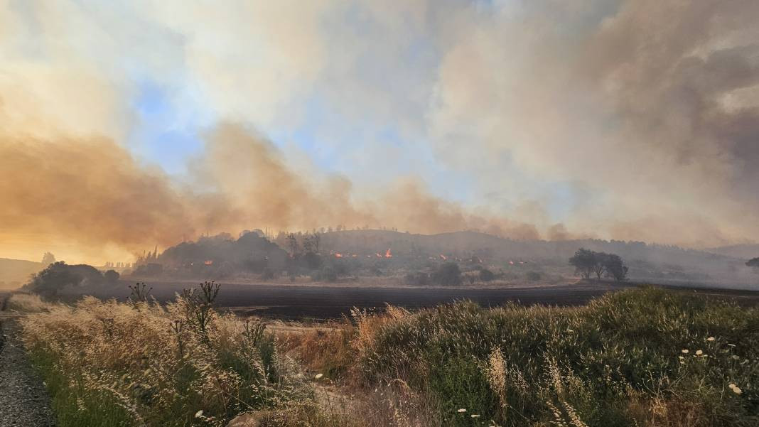 Çanakkale'deki Tarihi Alan'ın güney hattı ziyarete açıldı! Orman yangınında kapatılmıştı - Resim: 49